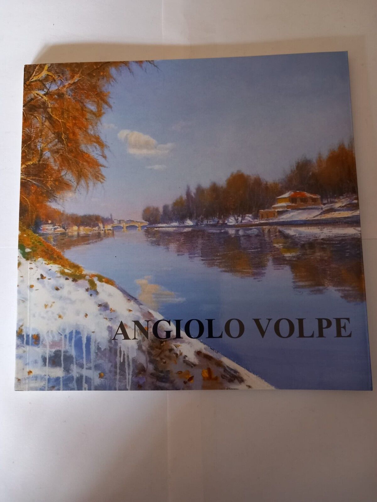 ANGIOLO VOLPE Centro Arte la Tesoriera Torino