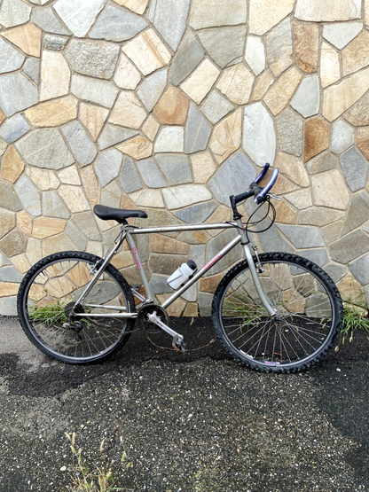 Vélo gris Maisano 
