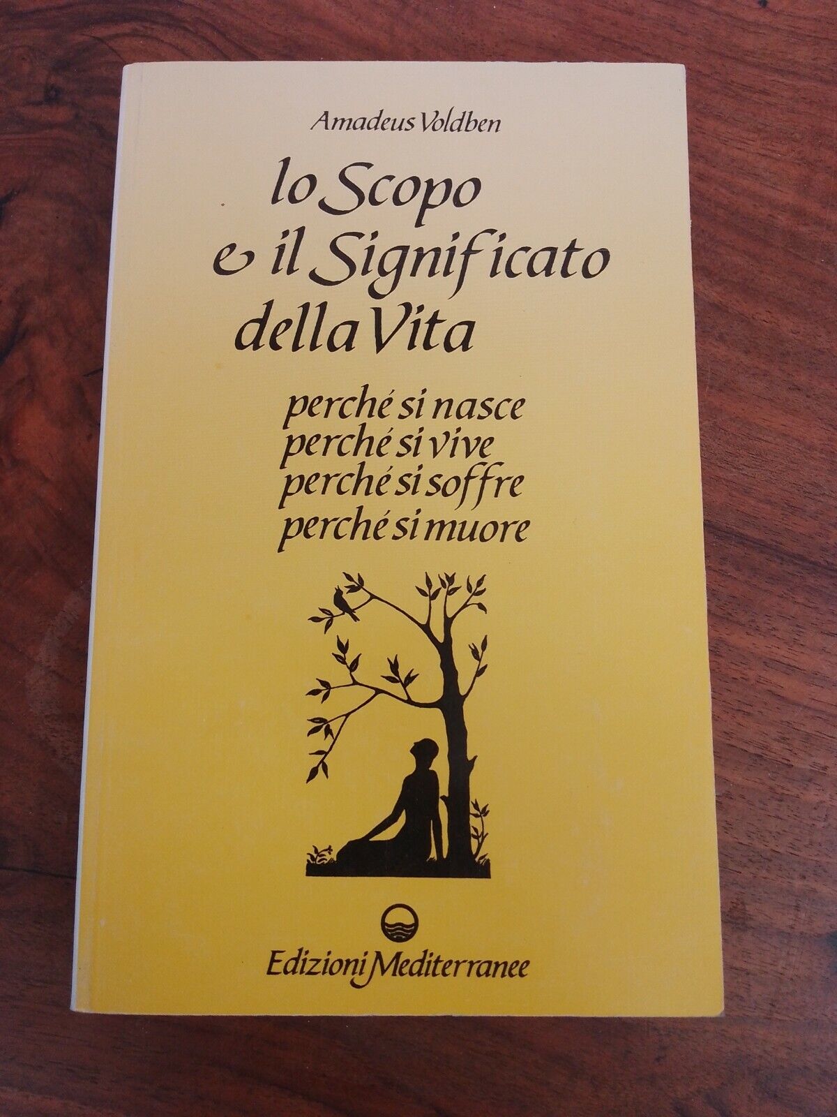 Lo scopo e il significato della vita, A.Voldben, ed. Mediterranee, 2001