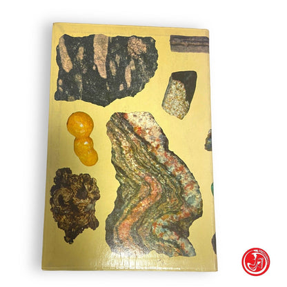 Minerals and rocks - Peyrot - Editrice saie 