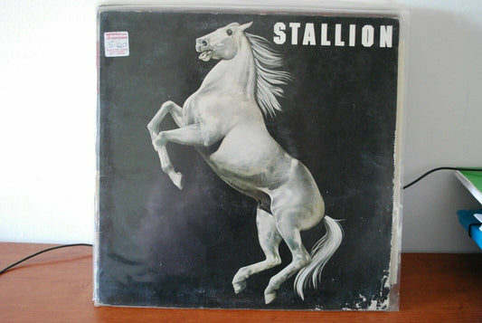 Stallion – Stallion