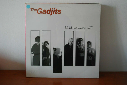 Disco The Gadjits ‎– Wish We Never Met