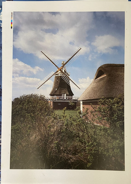 Poster - Windmill