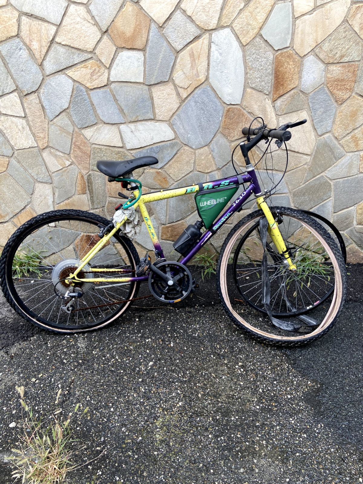 Bicicletta B.A.S. quota