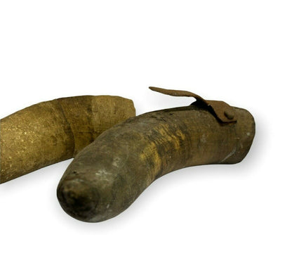 Antichi corni di animale