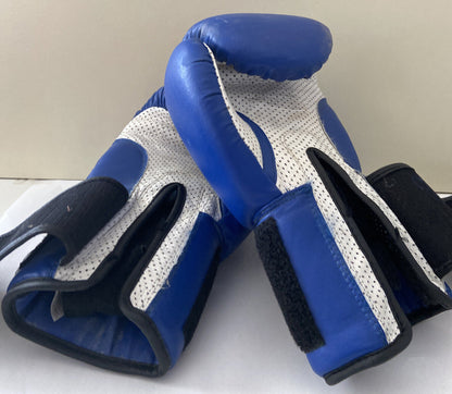 Gants de boxe bleus pour hommes