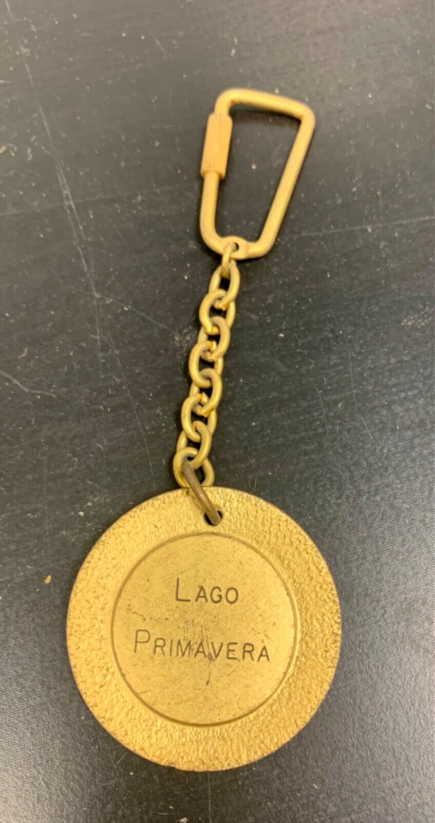 Vintage spring lake key ring 