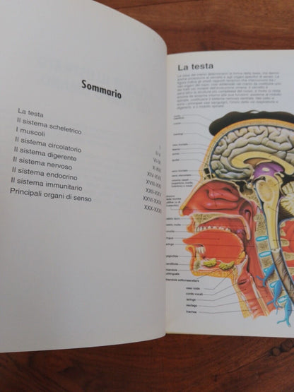 MEDICAL ENCYCLOPEDIA FOR THE FAMILY, Illustrated practical guide, Vallardi 1995