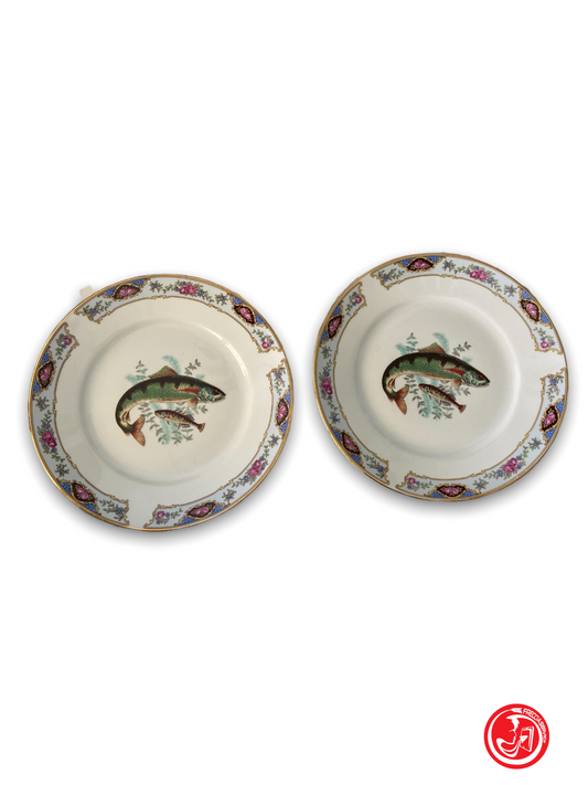 Pair of Richard Ginori plates