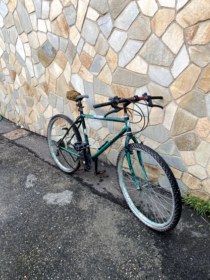 Bicicletta Girardengo
