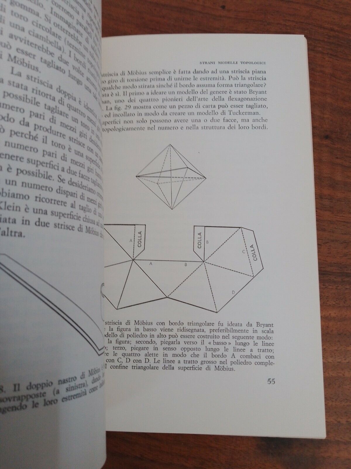 PUZZLES AND MATHEMATICAL GAMES 4, Martin Gardner, SANSONI ED., 1967