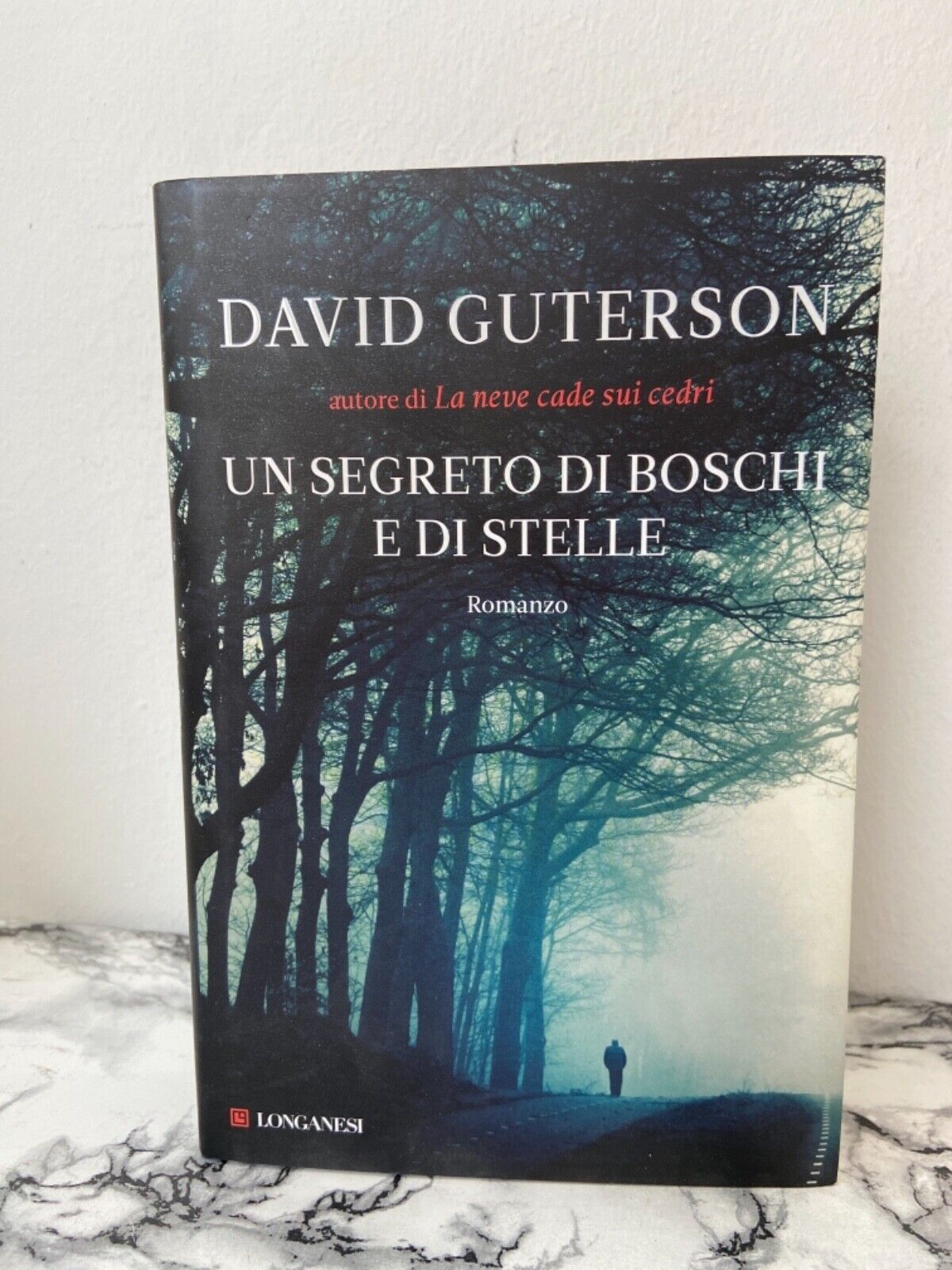 D. Guterson- Un secret de bois et d'étoiles