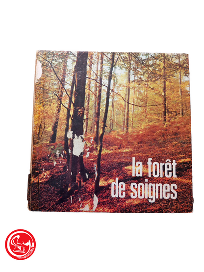 la foret de soignes photos de Guy Bouchez, Biebuyck Jacques